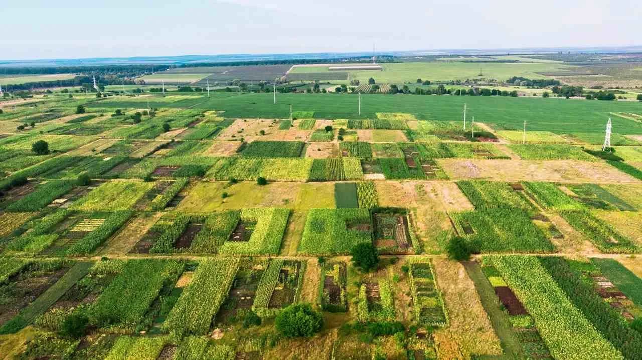 Jak sprawdzić właściciela gruntu i uniknąć nieprzyjemnych niespodzianek