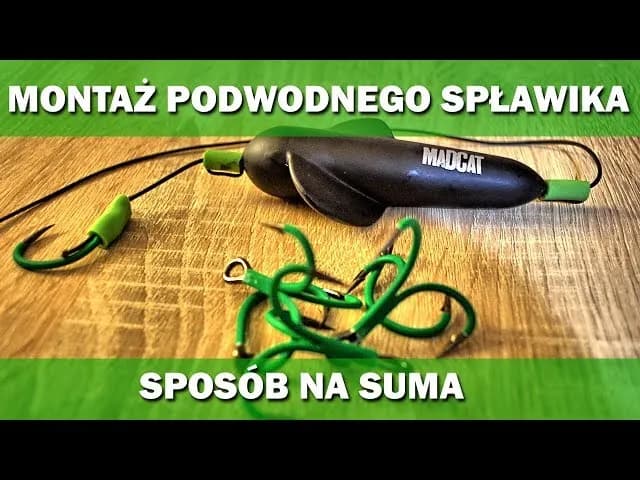 Skuteczne metody na suma z gruntu: sprzęt, przynęty i miejsca