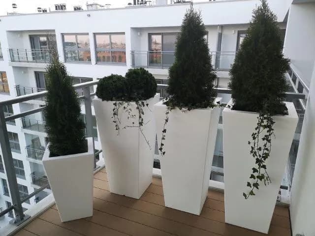 Co do donic na taras - wybierz idealne donice dla swoich roślin