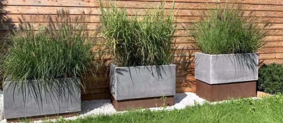 Jaką donicę wybrać do trawy pampasowej, aby uniknąć problemów?