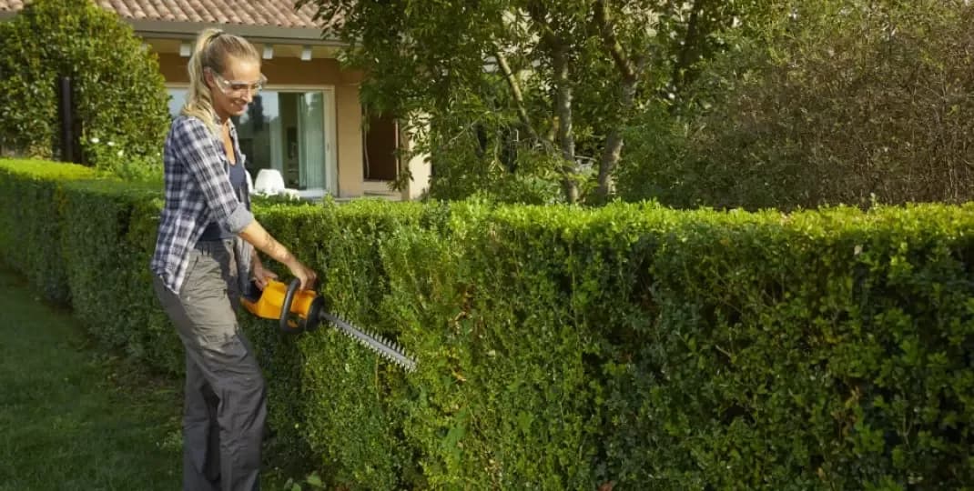 Kiedy przycinać żywopłot? Oto kluczowe terminy i błędy do uniknięcia