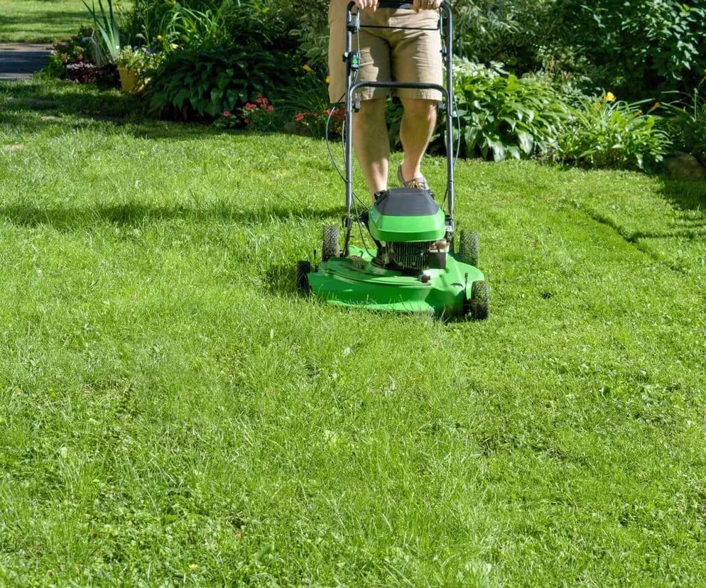 Czy można kosić mokrą trawę kosiarką spalinową? Ryzyko i skutki