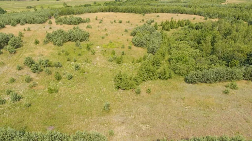 Czy pastwisko jest gruntem rolnym? Sprawdź jego znaczenie i klasyfikację